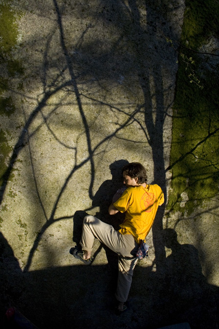 IMG_3890.jpg