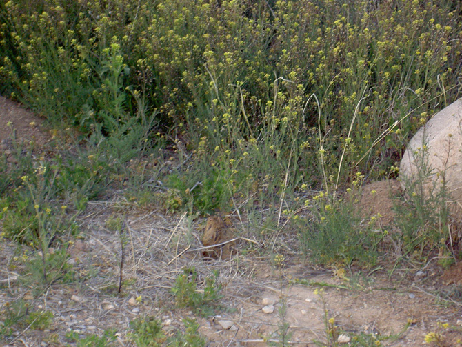huecoTanks_3-05_019.jpg