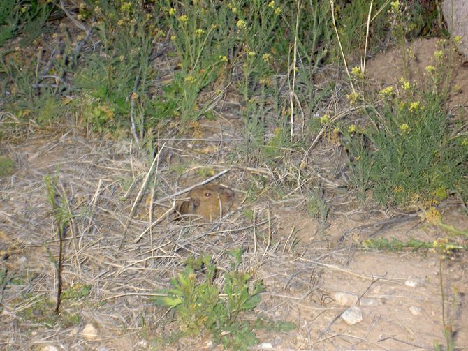 huecoTanks_3-05_020.jpg