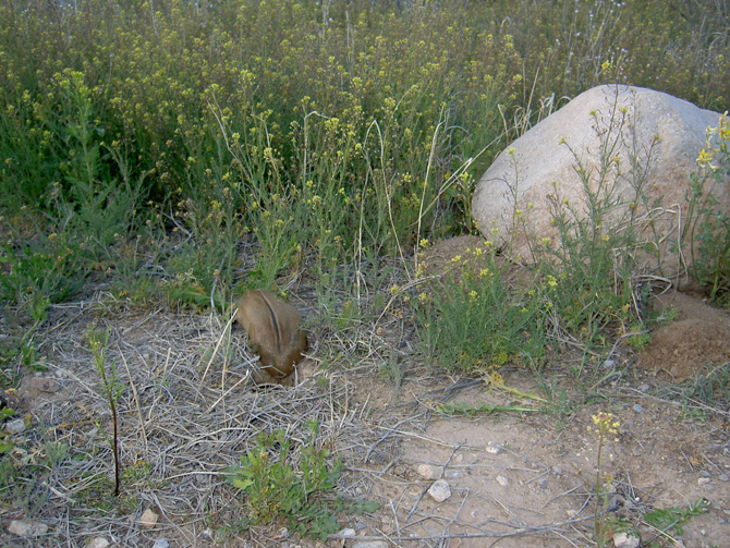 huecoTanks_3-05_021.jpg