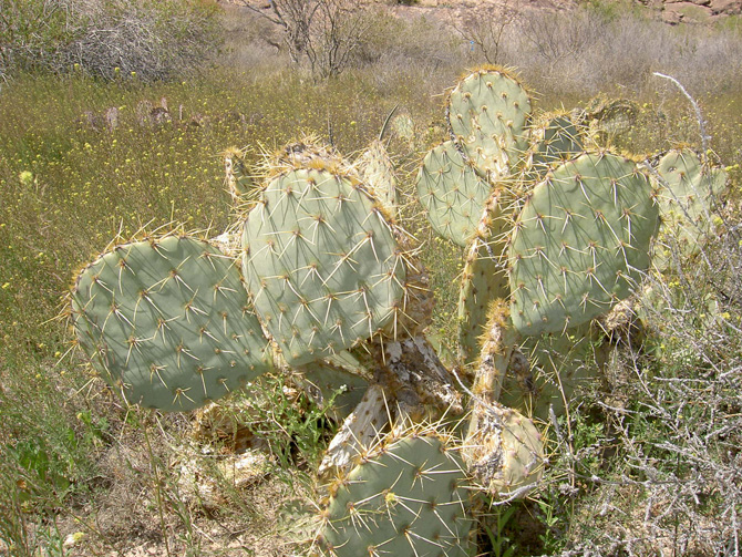 huecoTanks_3-05_073.jpg